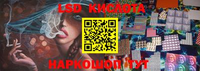 СК Бийск