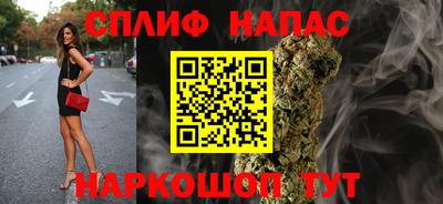 СК Бийск