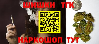СК Бийск