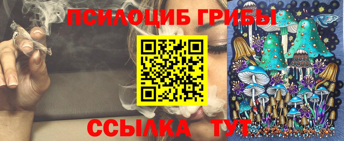 Псилоцибиновые грибы GOLDEN TEACHER Казань