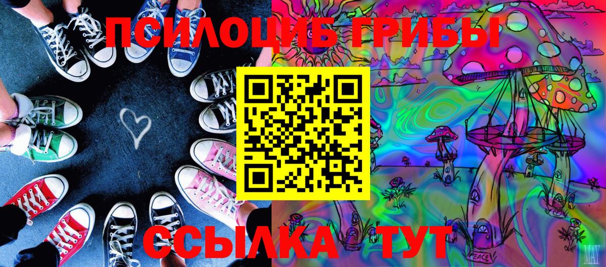Казань  Псилоцибиновые грибы прущие грибы  Вход с VPN  Псилоцибиновые грибы Psilocybine cubensis 